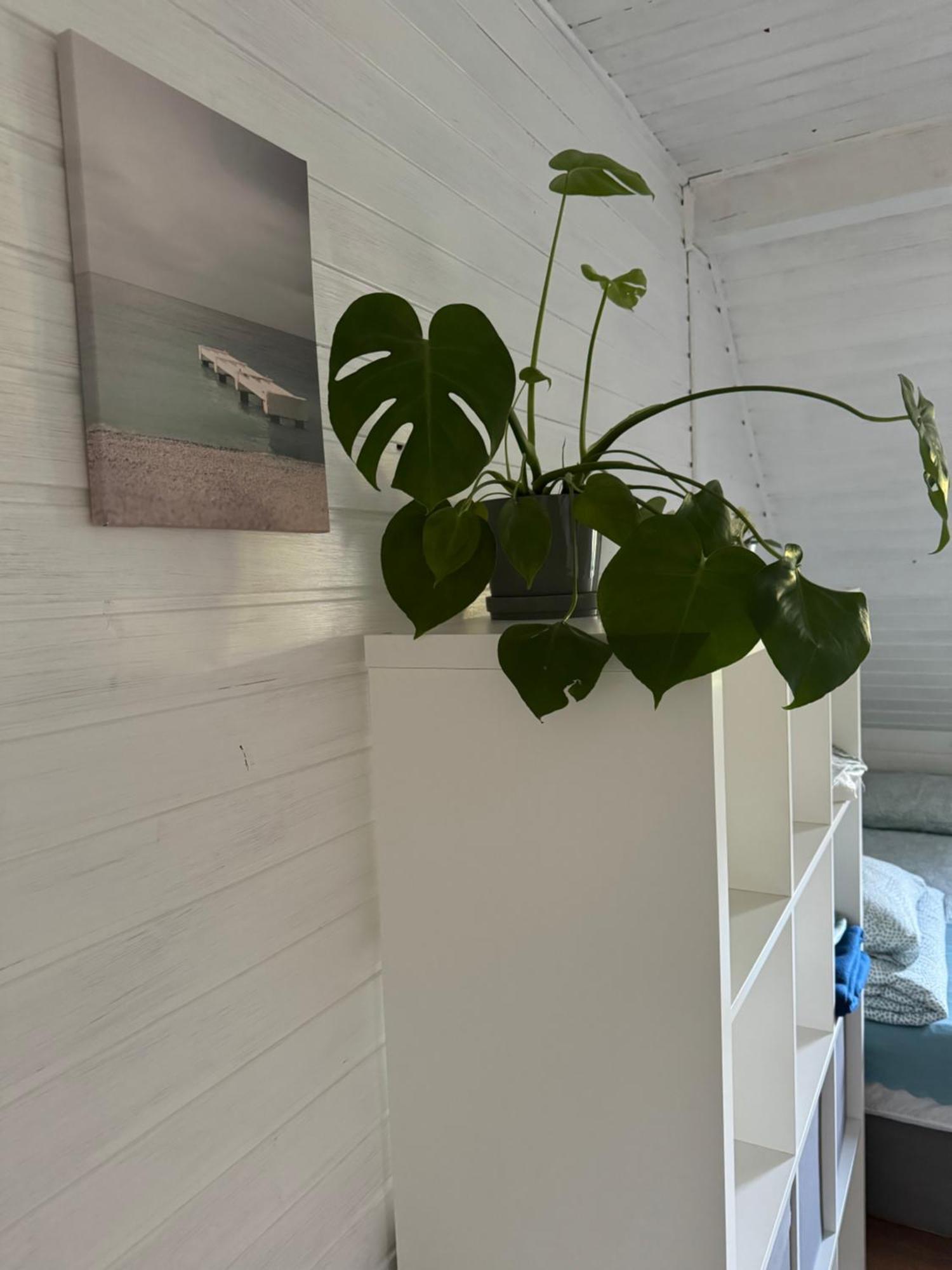 48C Domki Letniskowe I Apartament Pobierowo Esterno foto