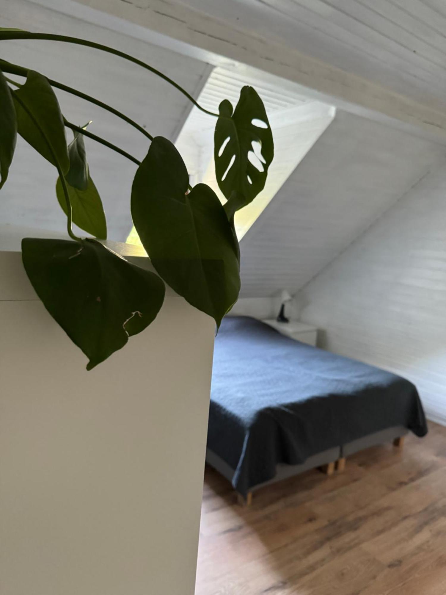 48C Domki Letniskowe I Apartament Pobierowo Esterno foto